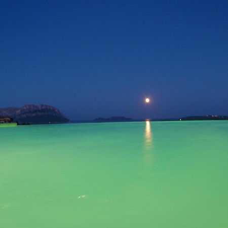 Villa And Pool Tavolara View Porto Istana Экстерьер фото